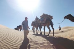 W karawanie przez Saharę (11.2012)