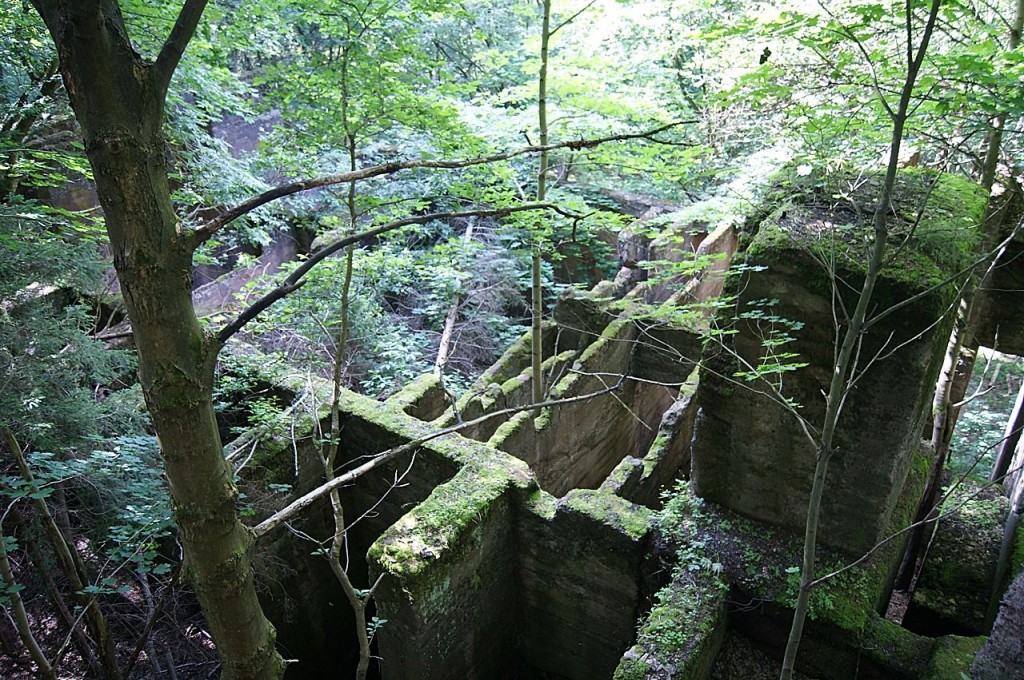 Stary kamieniołom w Górze Włodzickiej (fot. Levy)