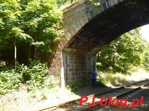 Miejsce kolejnego bzdurnego mitu kolejowego... pod mostkiem Danny Williams (fot. PJ)