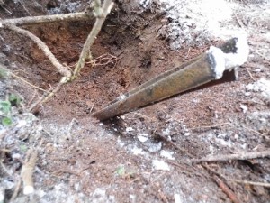 Kolejna wystająca szyna kolejki wąskotorowej z ziemi w lesie w Świerkach (fot.Paweł Jeżewski)