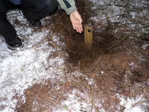 Wystająca z ziemi szyna kolejki wąskotorowej w lesie w Świerkach (fot. Paweł Jeżewski)